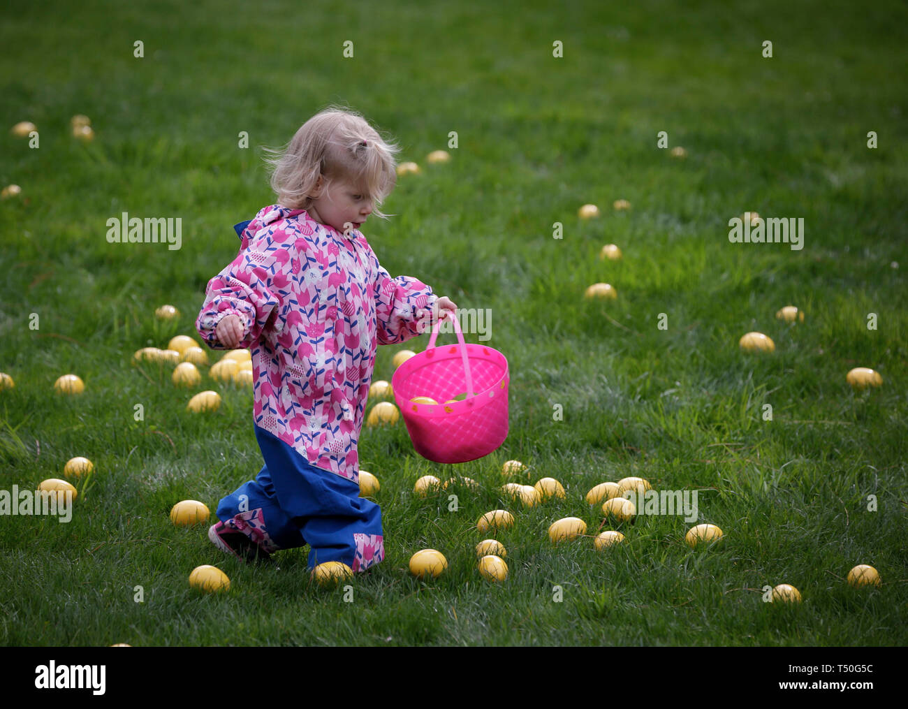 Prize egg hires stock photography and images Alamy