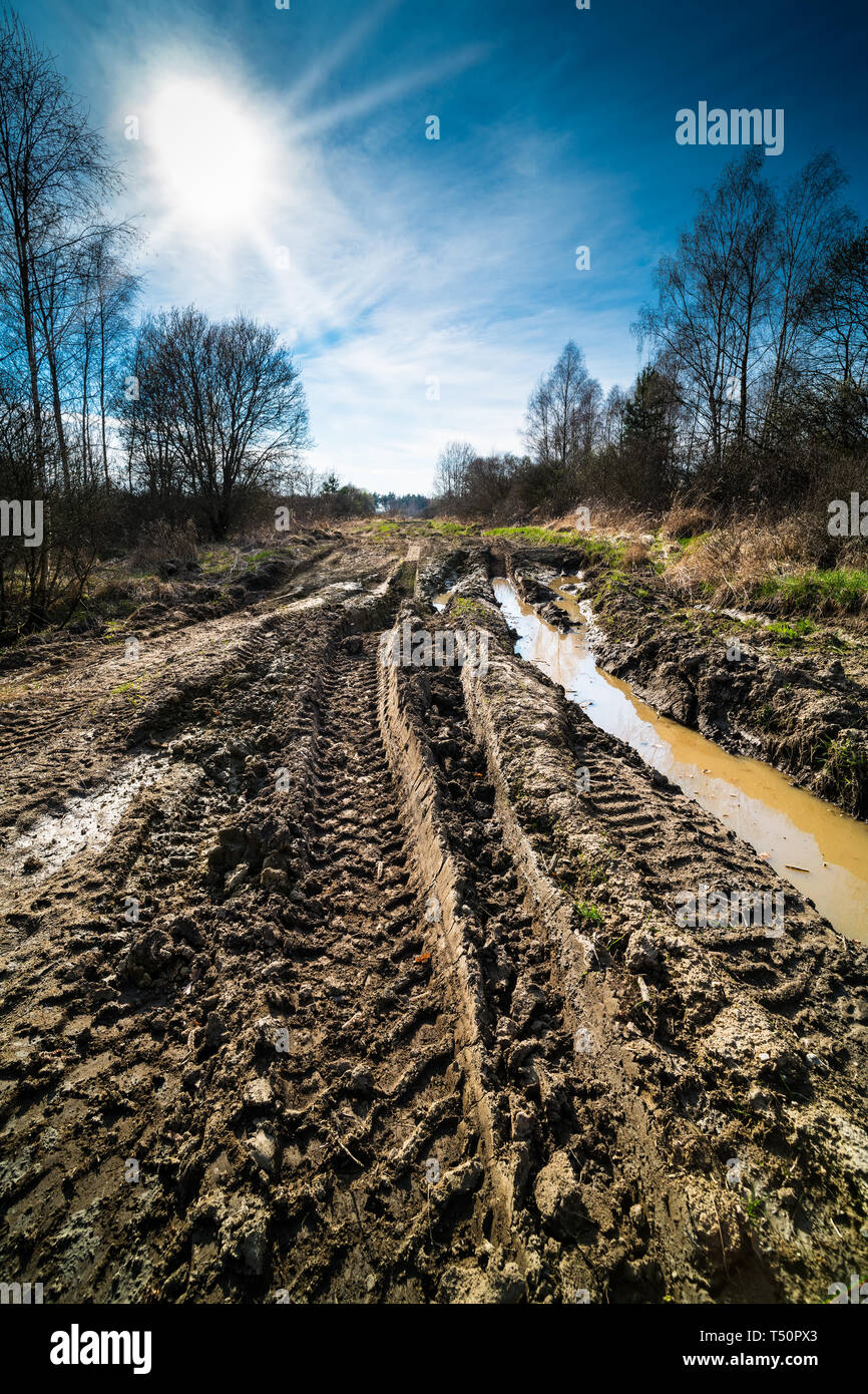 Tire imprints. Off-road track. Sun beams in spring landscape. Puddle in tyre rut. Muddy bumpy path detail. Rutted terrain way. Military area. Blue sky. Stock Photo