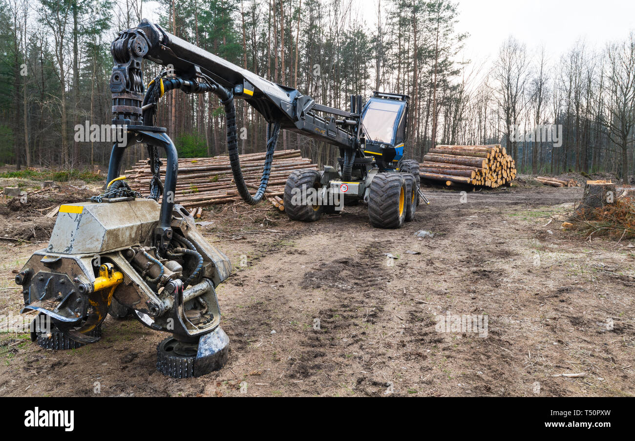 Harvester felling head detail. Forestry vehicle in off road. Blue logging machine. Hydraulic drive. Bark beetle calamity. Deforest, environment, eco. Stock Photo