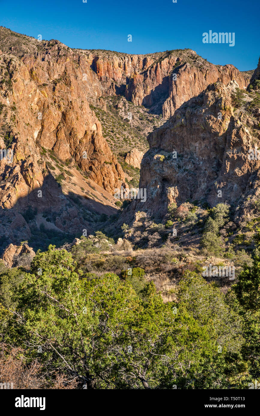 Green Gulch, view from Lost Mine Trail near Panther Pass in Chisos Mountains, Big Bend National Park, Texas, USA Stock Photo