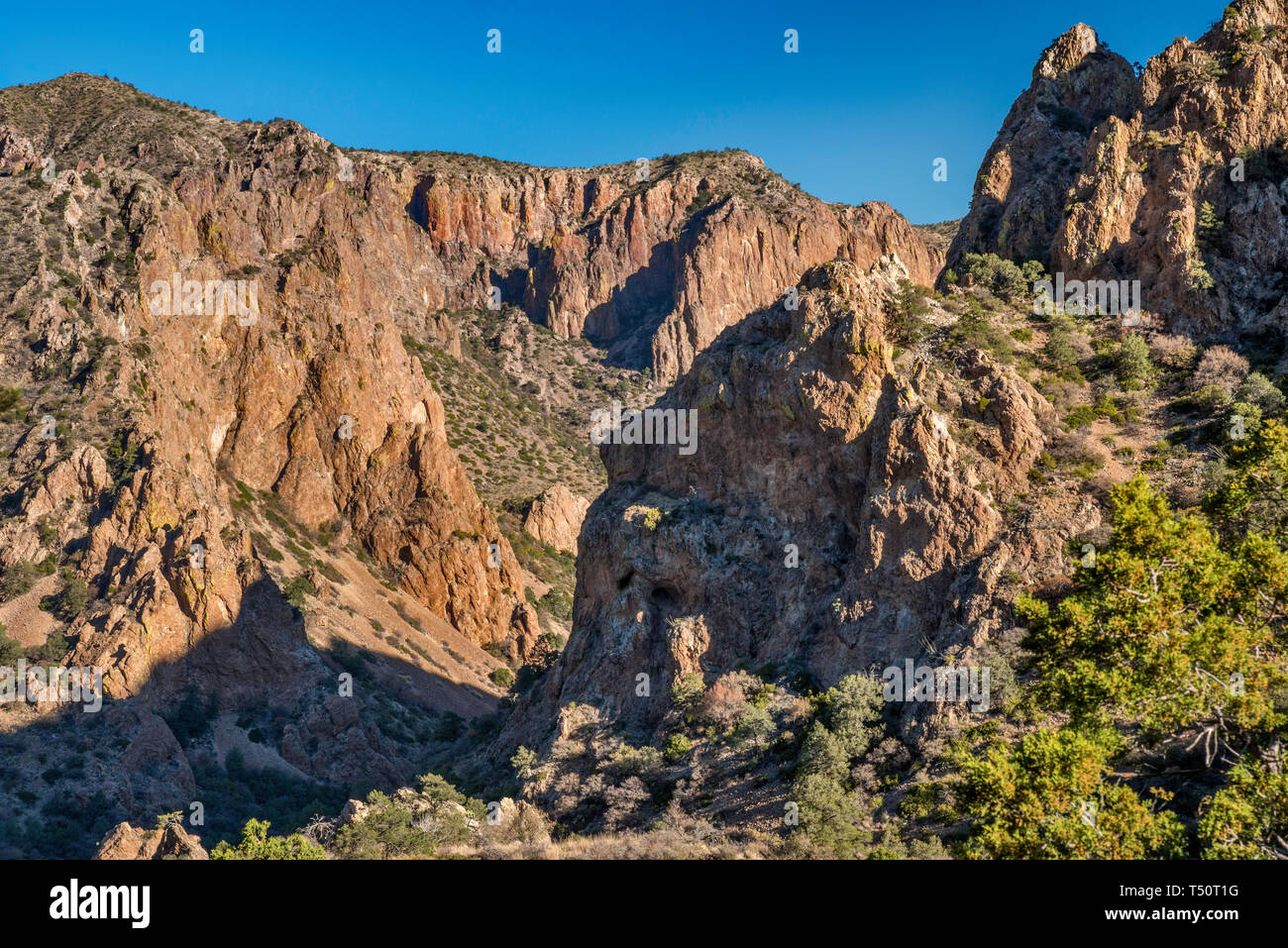 Green Gulch, view from Lost Mine Trail near Panther Pass in Chisos Mountains, Big Bend National Park, Texas, USA Stock Photo