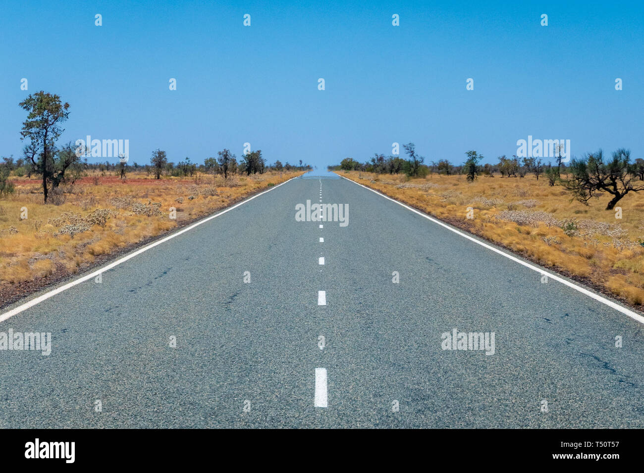 Long empty road with symmetric markings in Australia leading through savanna landscape touching the horizon Stock Photo