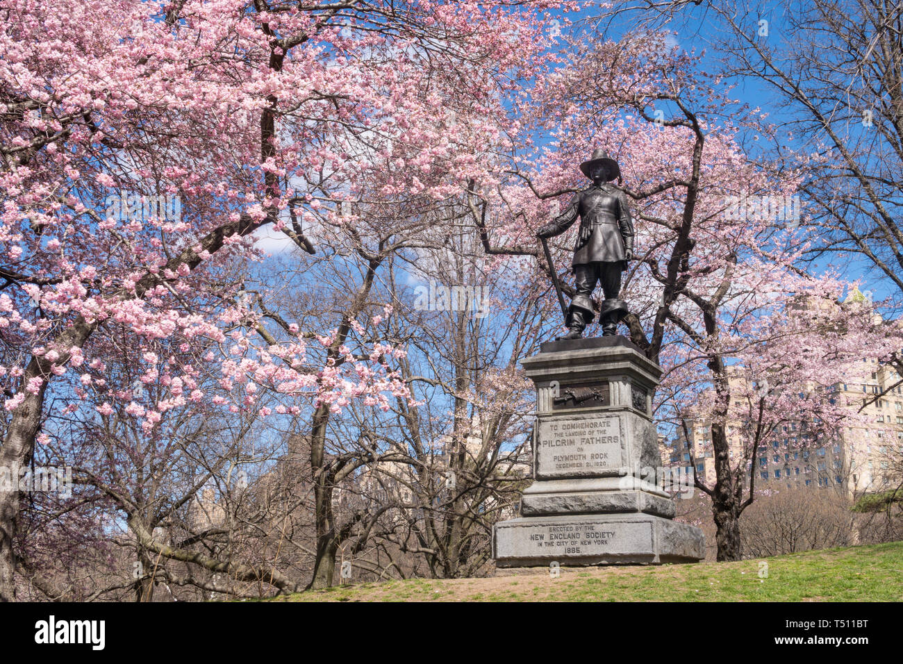 The Pilgrim Statue, Pilgrim Hill, Central Park, NYC Stock Photo