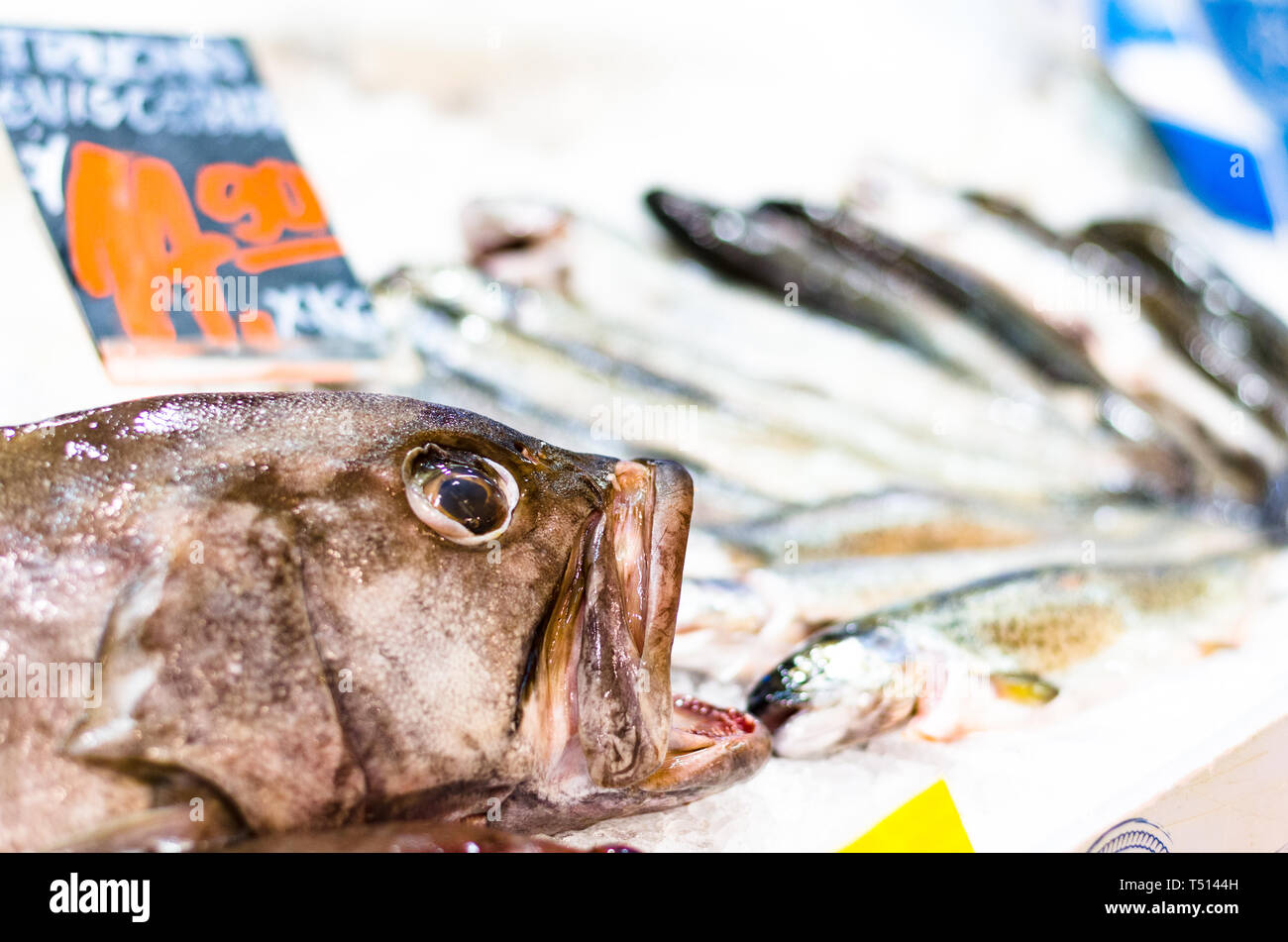 Seafood, fresh fish on ice at the market Stock Photo - Alamy