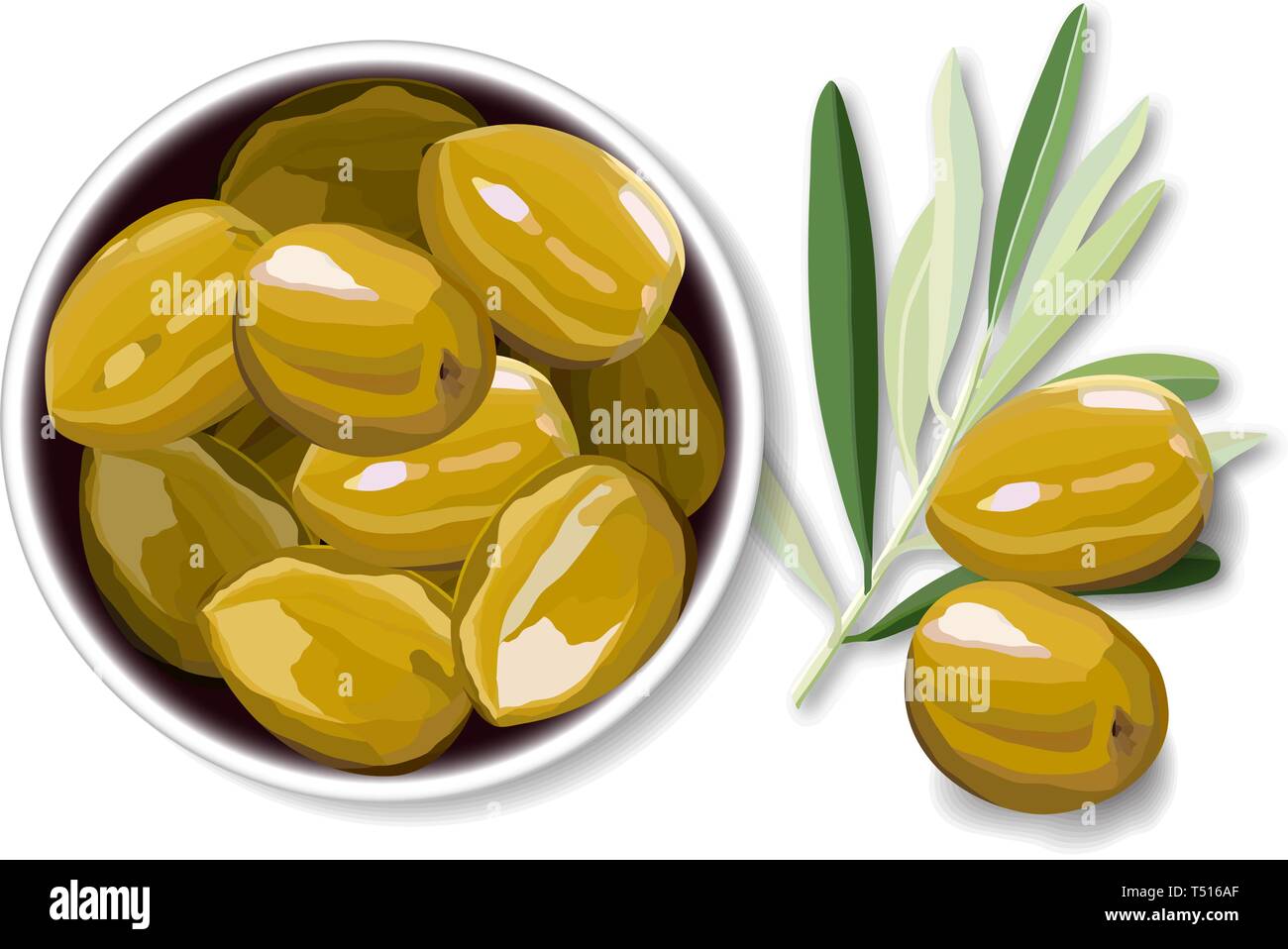 Olive berries on a white background vector illustration Stock Vector