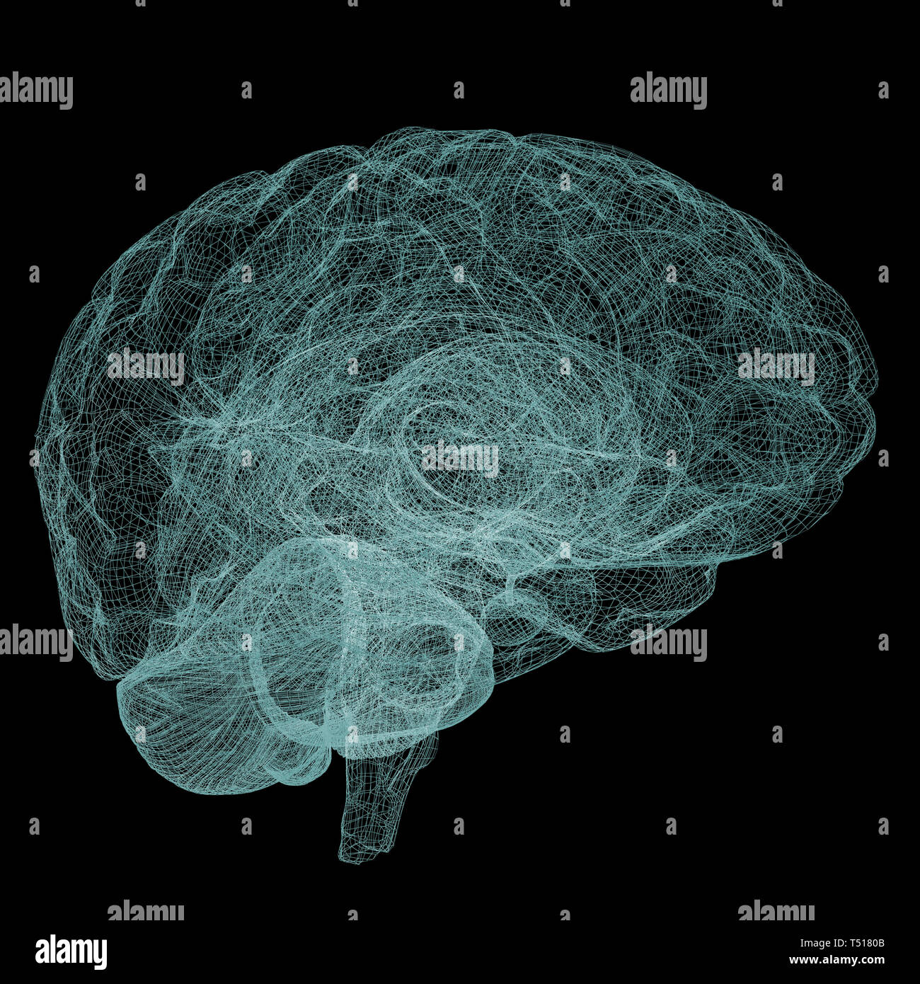 Creative concept of the human brain Stock Photo - Alamy