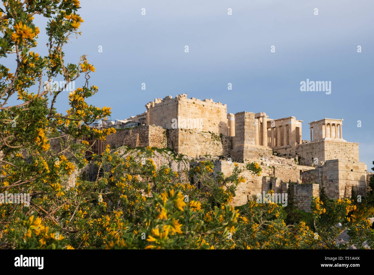 Blooming tree (out of focus) against Parthenon (in focus) in Athens, Greece on a beautiful spring afternoon Stock Photo