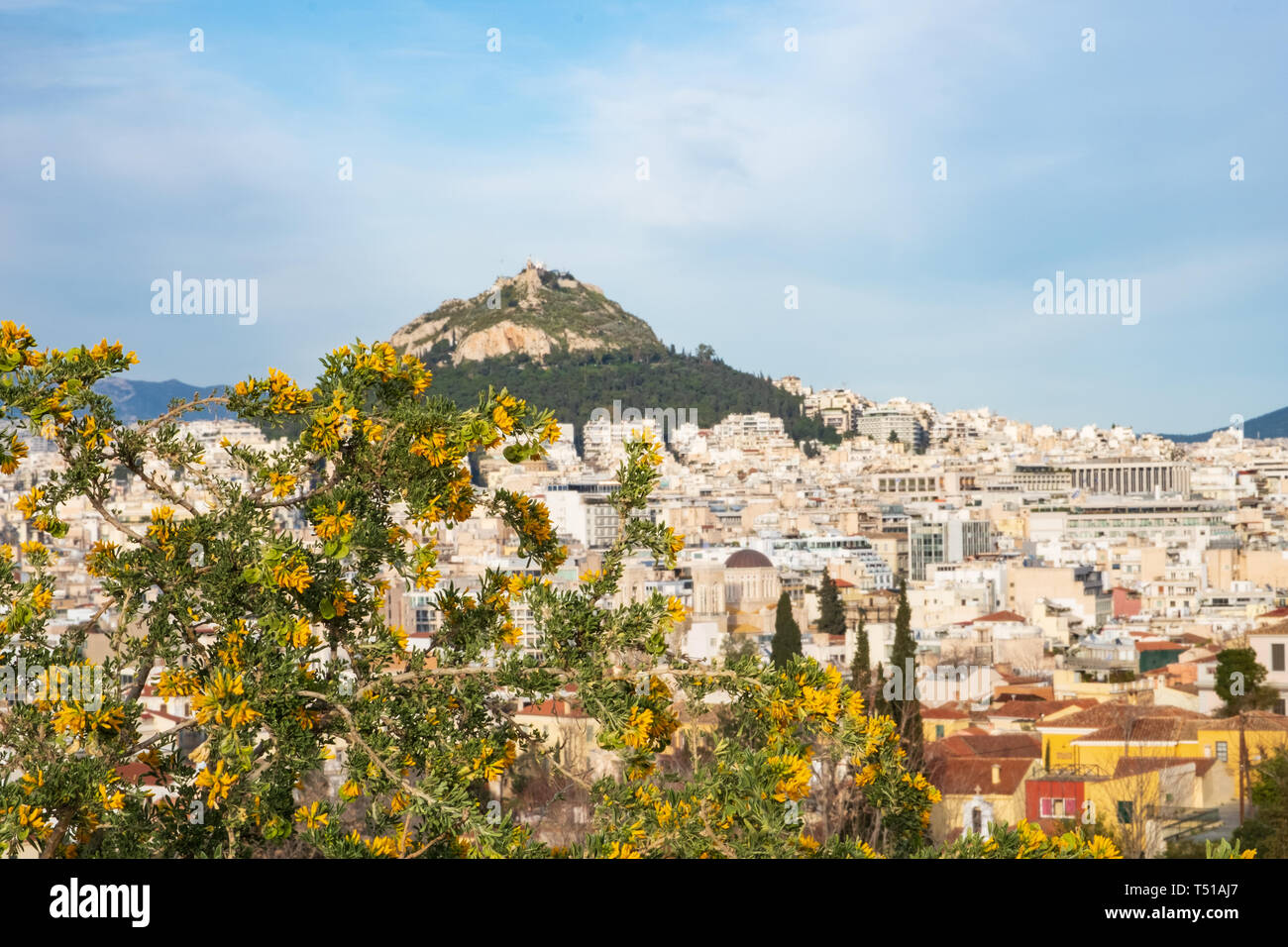 Blooming tree (in focus) against Athens cityscape and Lykavitos hill (out of focus) in Athens, Greece on a beautiful spring afternoon Stock Photo