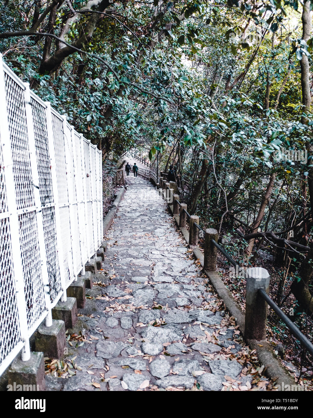 Hike to Nunobiki Water Fall in Kobe, Japan Stock Photo Alamy