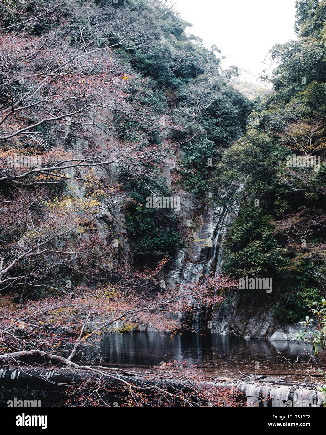 Nunobiki Water Fall in Kobe, Japan Stock Photo Alamy