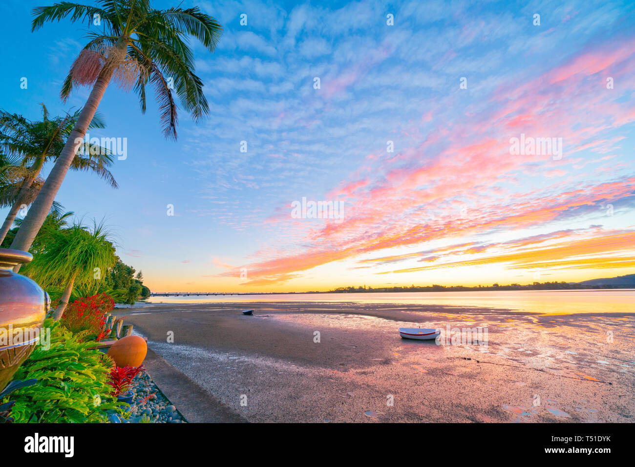 Brilliant sunset on harbor edge with striking cloud formations over tropical gardens and beach at low tide Tauranga New Zealand Stock Photo