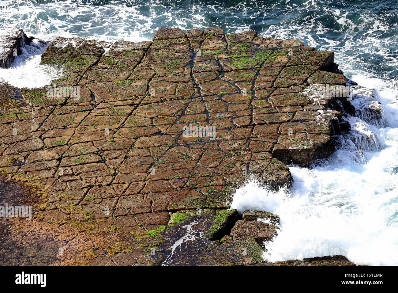 Tessellated Rock Platform Stock Photo Alamy