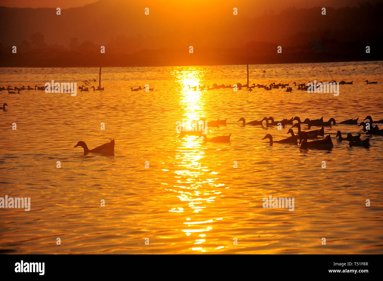 coming home - sunset on the lake in PhuYen, VietNam Stock Photo