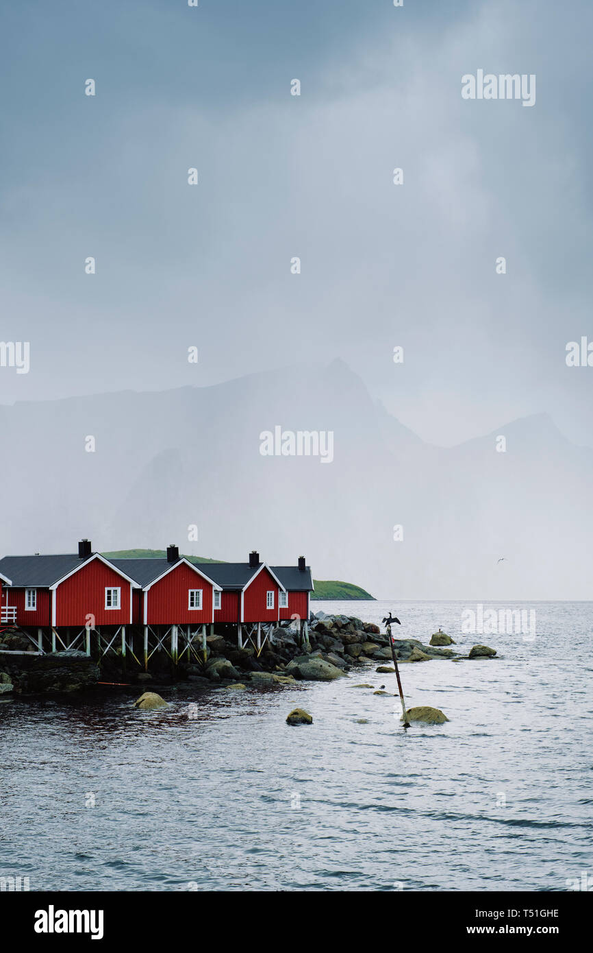 The red timbered Rorbu / fishermen’s cabins and a Cormorant in Hamnoy fishing village and landscape on Moskenesøya, Lofoten Islands Nordland Norway. Stock Photo