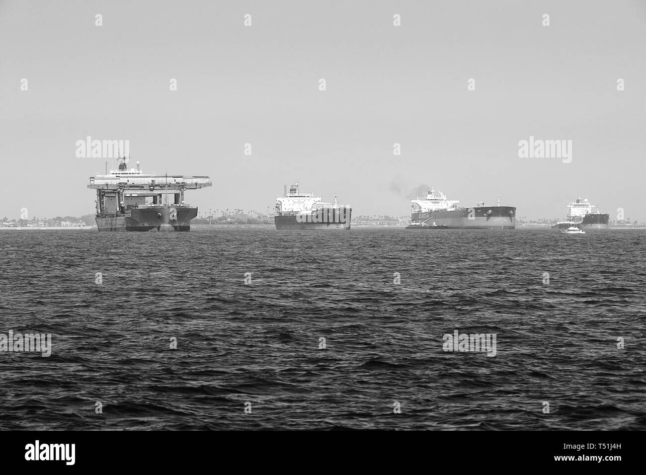 Black And White Photo Of Specialist Open-Hatch Gantry Vessel, SAGA Horizon, With Other Cargo Ships, Anchored In The Port of Long Beach, California. Stock Photo