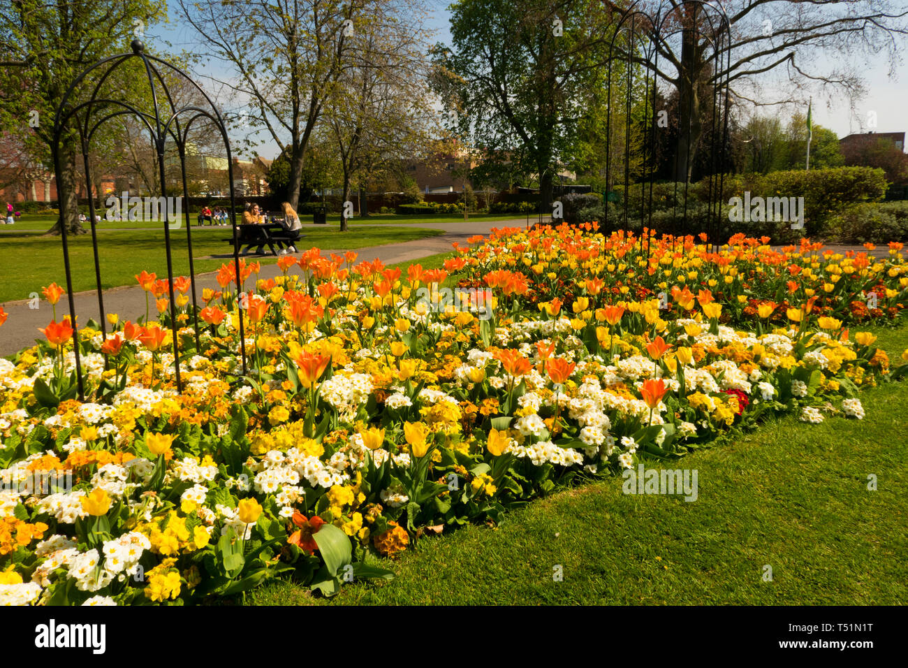 Queens Park Loughborough spring flowers Stock Photo