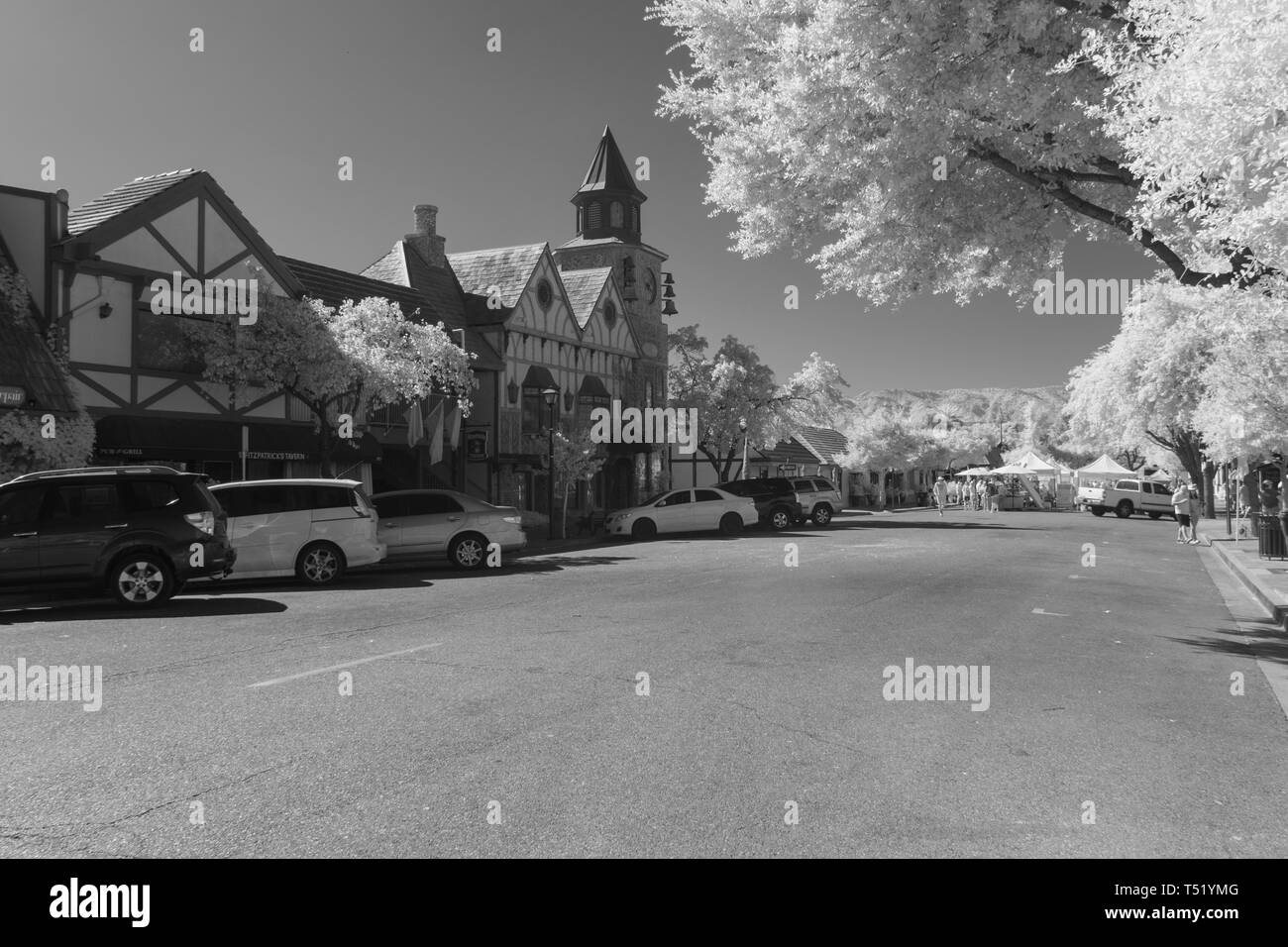 City street with tourists, parked cars and Danish architecture. Frosty looking trees, black and white. Stock Photo