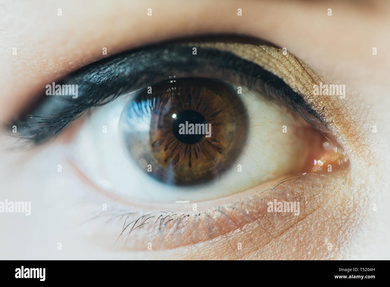 Close up picture of brown eyes from a young man Stock Photo - Alamy