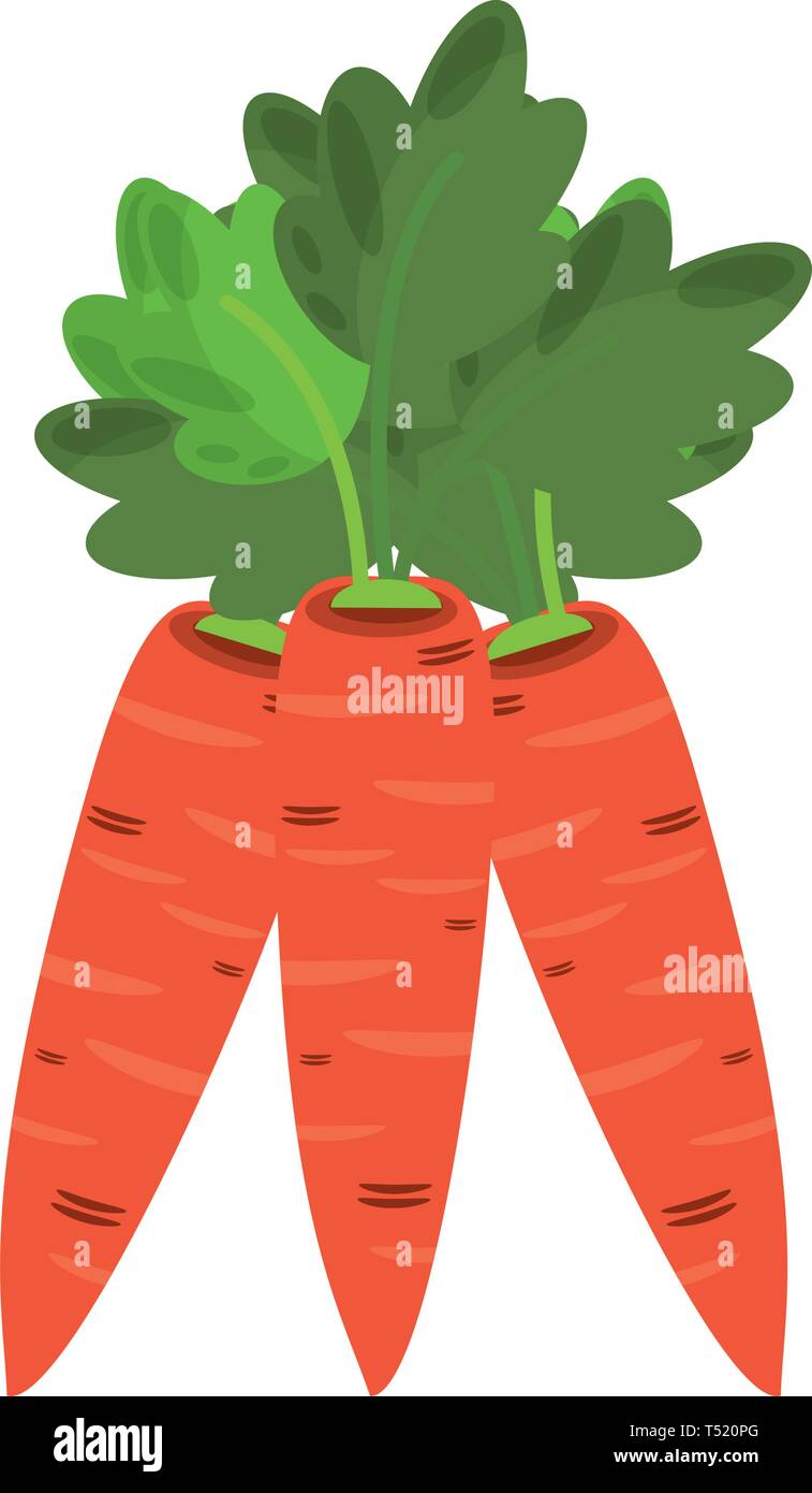Carrots fresh vegetables cartoon Stock Vector Image & Art - Alamy
