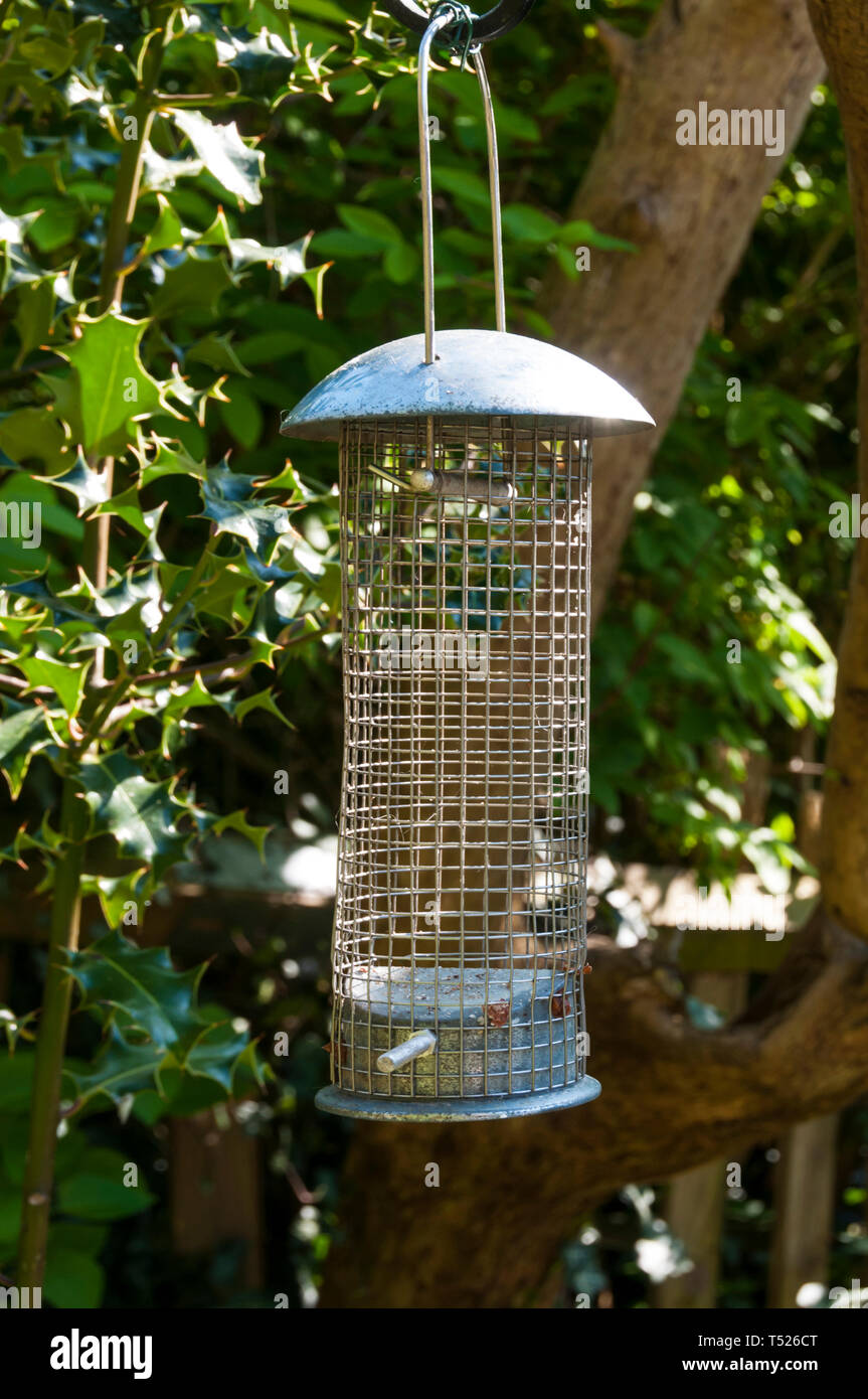 An empty bird peanut feeder. Often peanuts are not put out
