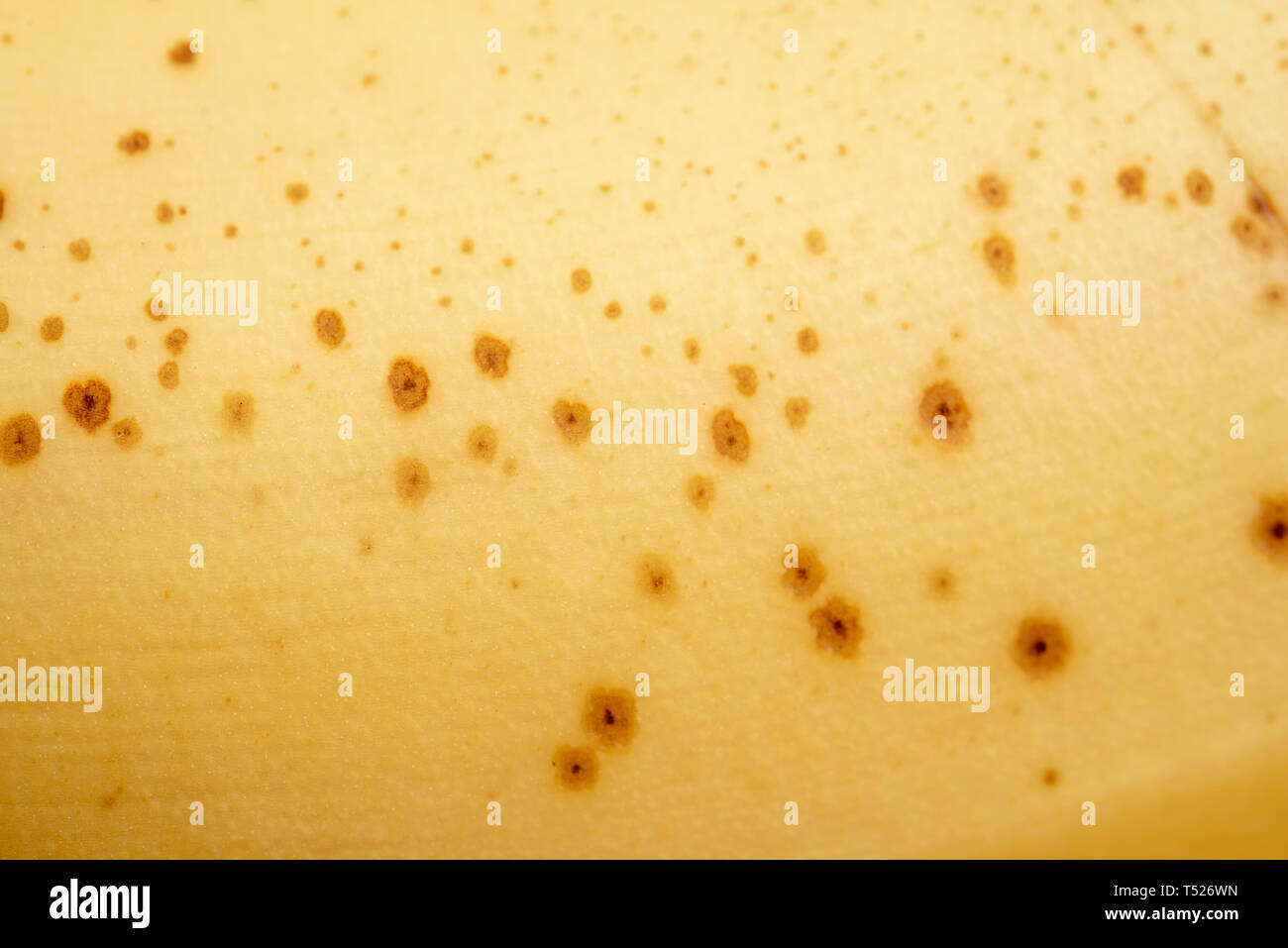 An extreme macro shot of a naturally overripe yellow banana skin. Stock Photo