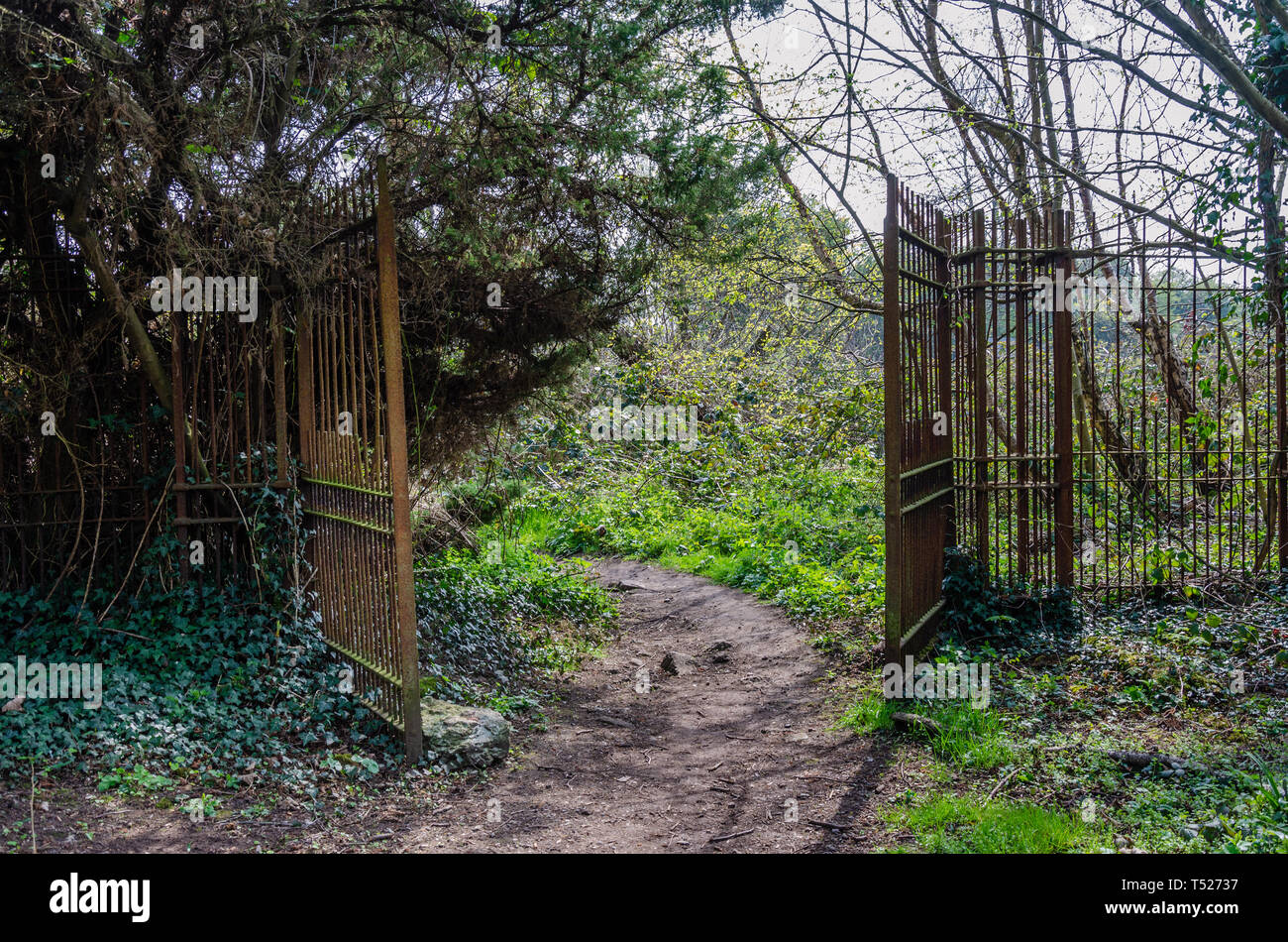 Old, rusty gates from a bygone era near the village of Perton in South Staffordshire still have a countryside path running through them. Stock Photo