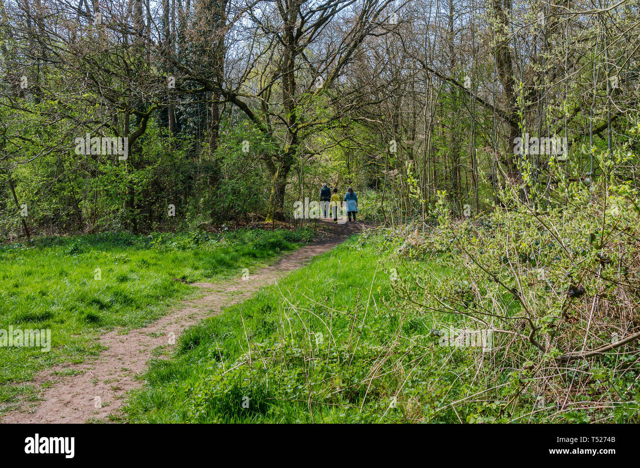 Footpath leading through woods in the countryside surrounding the