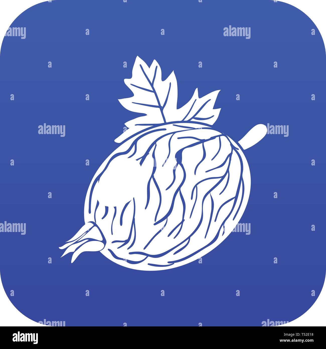 Gooseberry icon blue vector Stock Vector