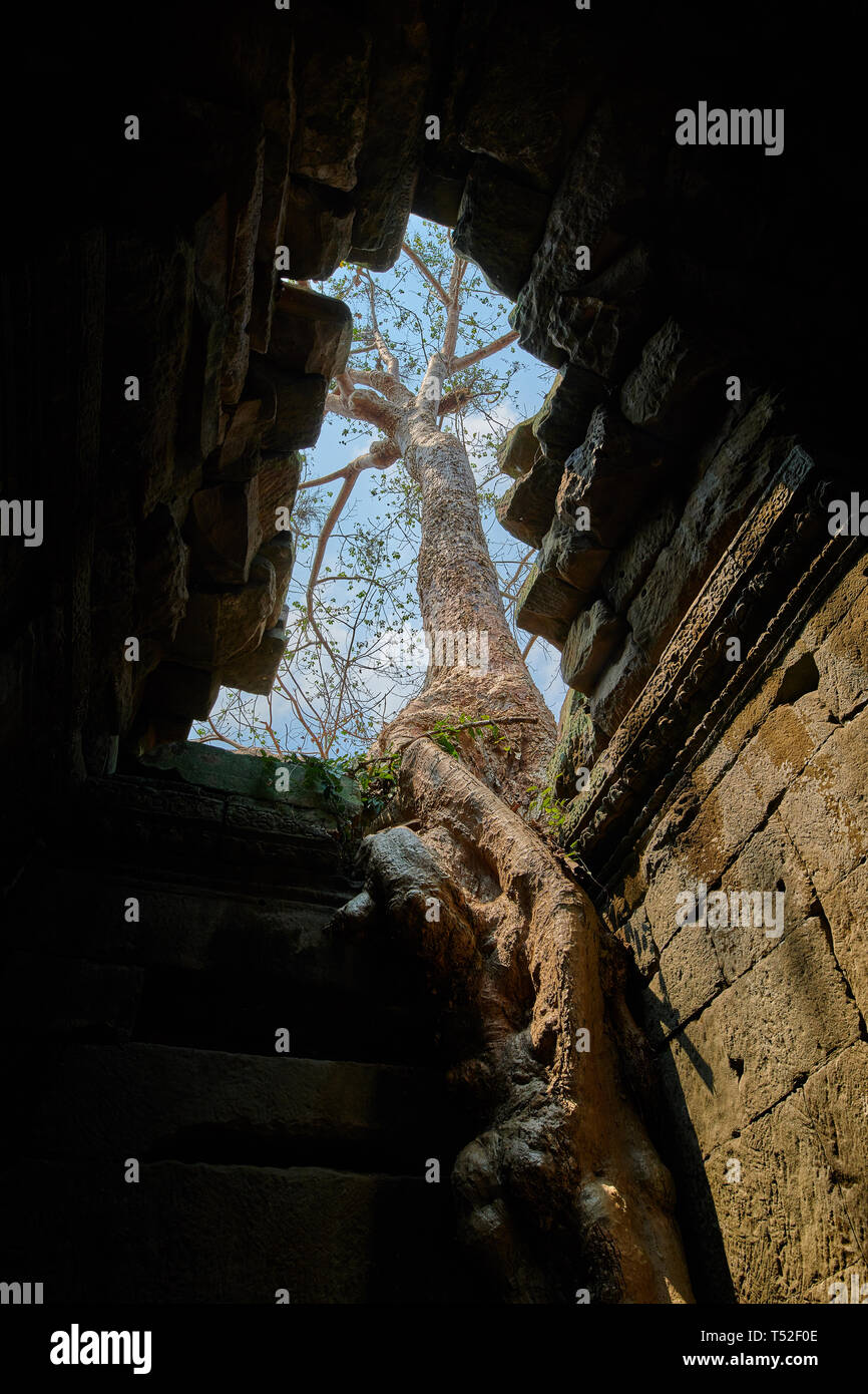 Prea Khan Temple, Siem Reap, Cambodia Stock Photo