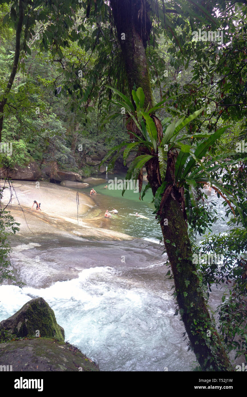 People amongst rainforest at Josephine Falls, Wooroonooran National Park, Wet Tropics World Heritage Area, Queensland, Australia. No MR Stock Photo