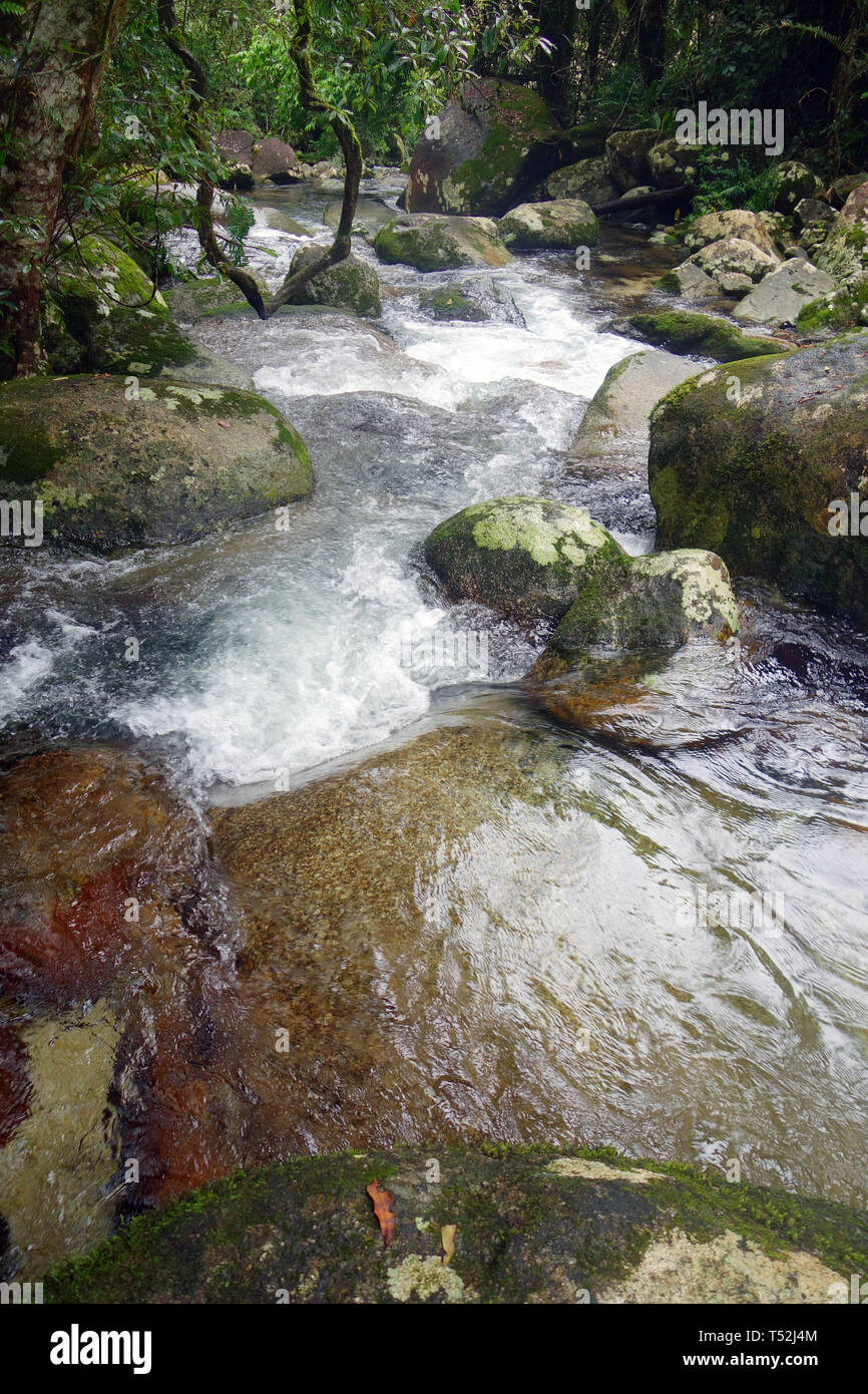 Crystal clear rainforest creek, Wooroonooran National Park, Wet Tropics World Heritage Area, Queensland, Australia Stock Photo