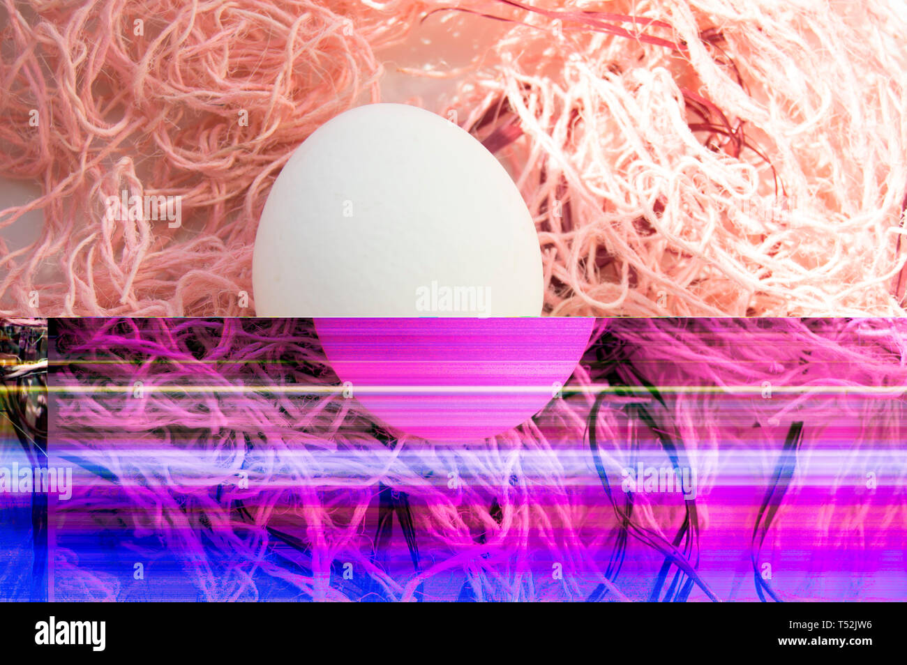 Shooting Easter, one egg on a pink background - damaged file. Abstract ...