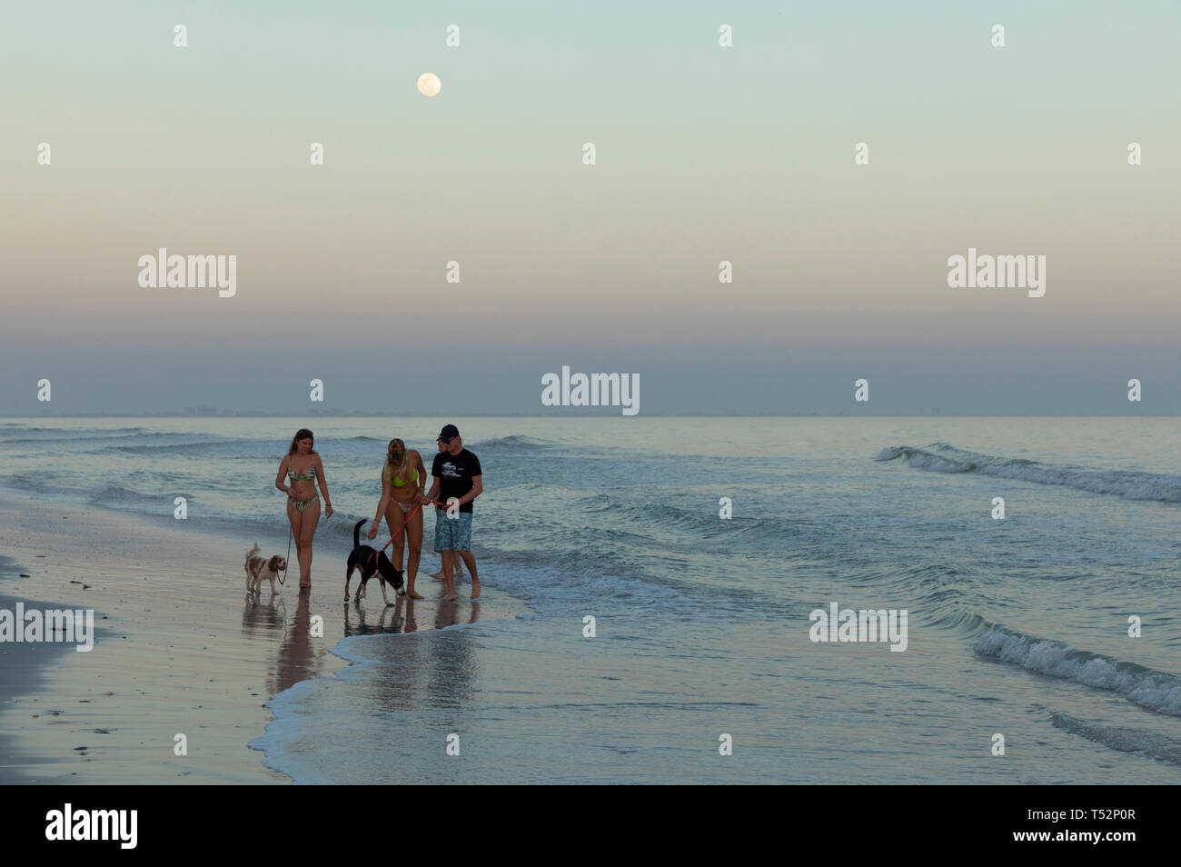 USA,Florida,Sanibel Island, young people on the beach at moonrise Stock Photo