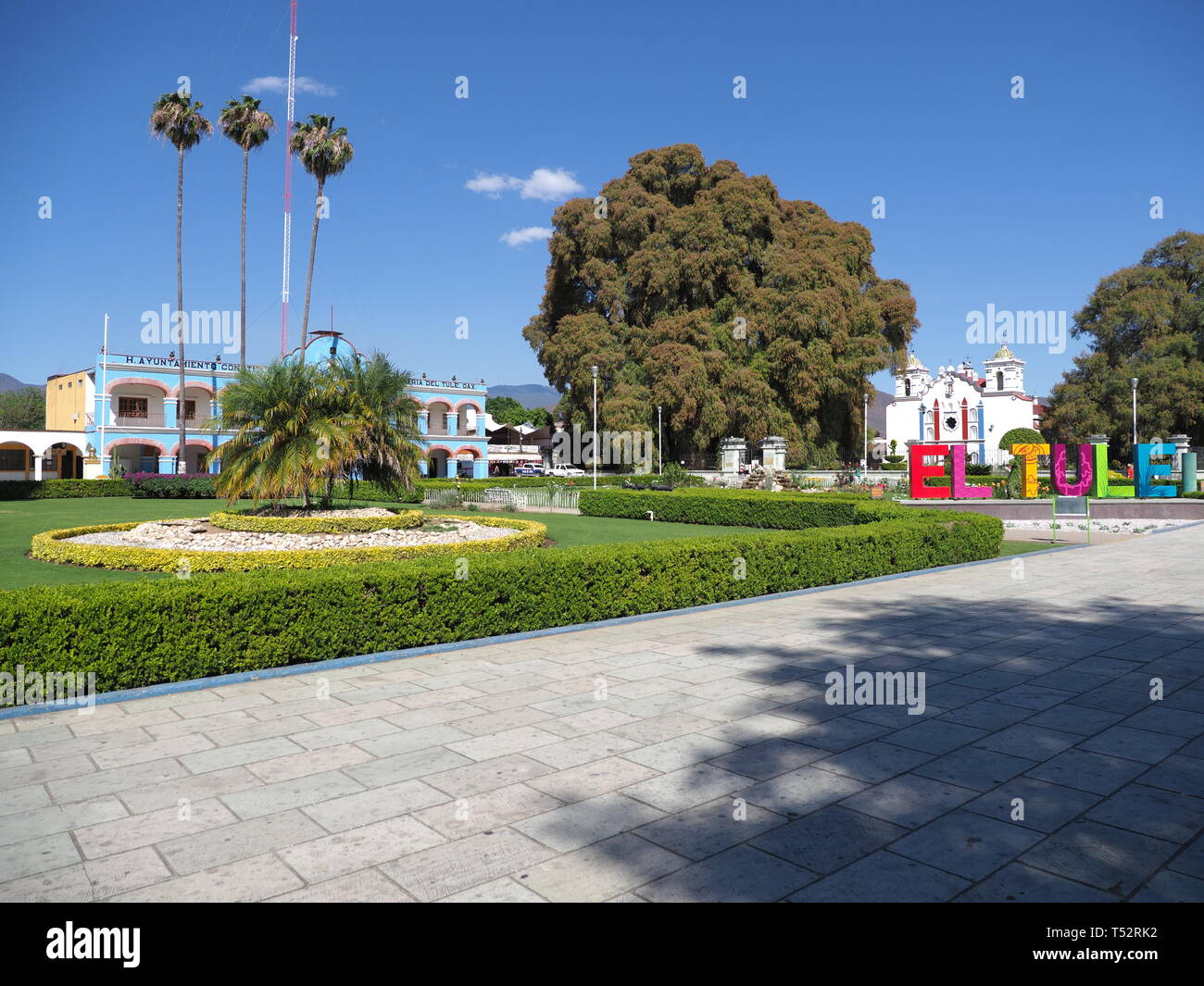 SANTA MARIA del TULE, NORTH AMERICA MEXICO on FEBRUARY 2018: Picturesque main square with town hall and cypress tree and stoutest trunk in city at Oax Stock Photo