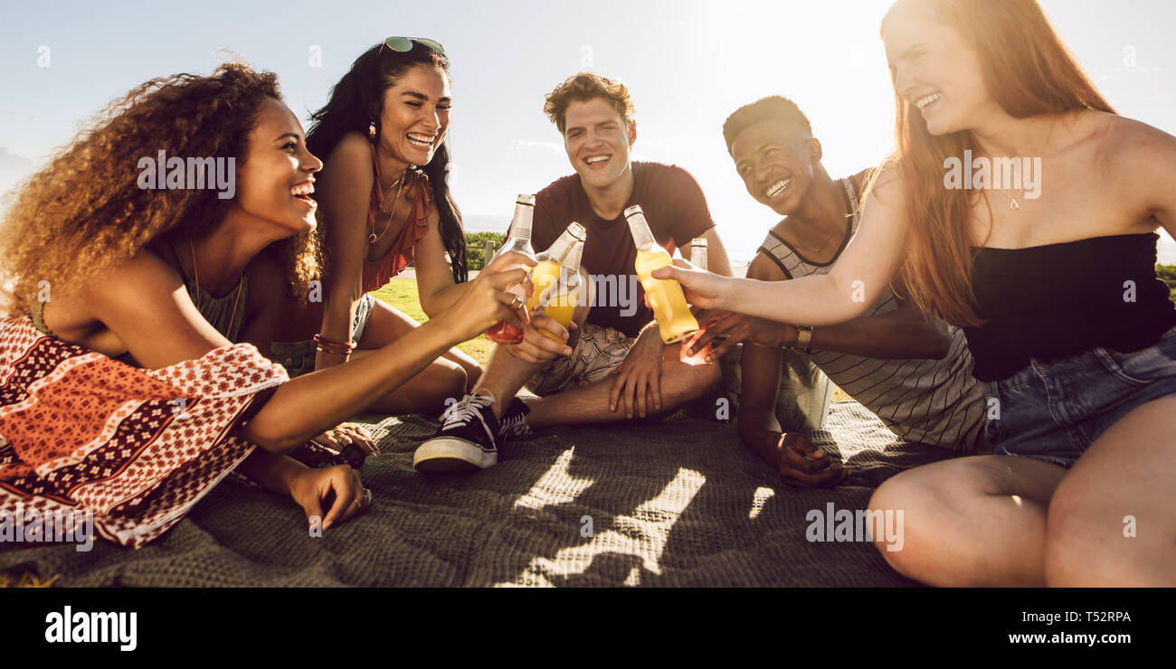 Group of friends sitting outdoors on a plaid and toasting beer bottles. Young men and women having beers on a summer day. Stock Photo