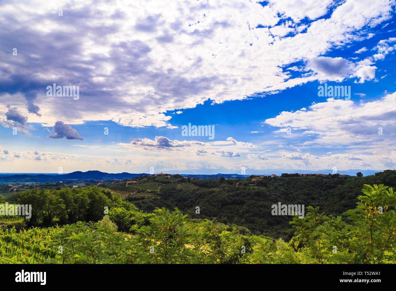 Italy slovenia border vineyard hi-res stock photography and images - Alamy