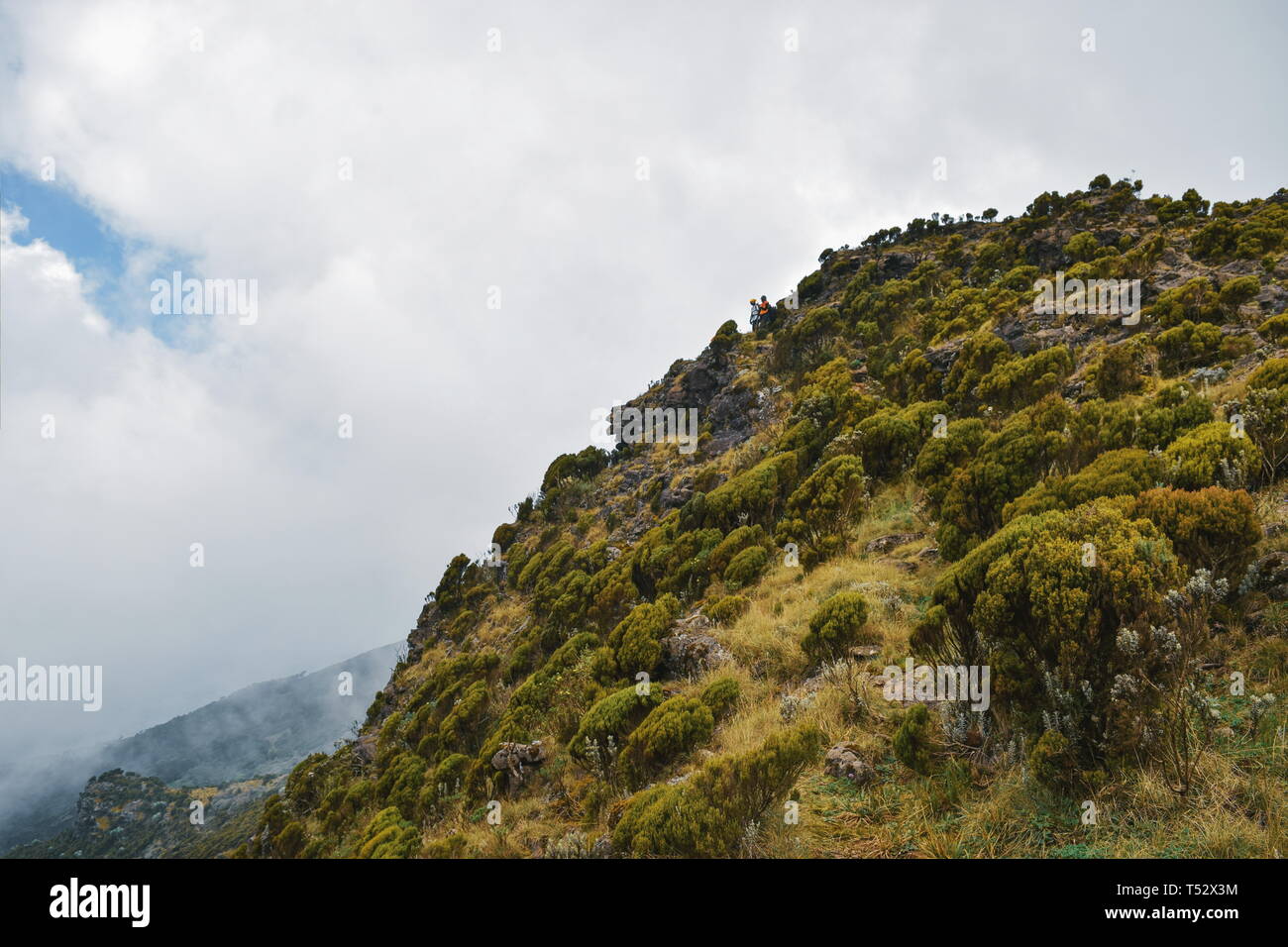 The volcanic mountain landscapes on the flanks of Mount Kenya, Aberdare