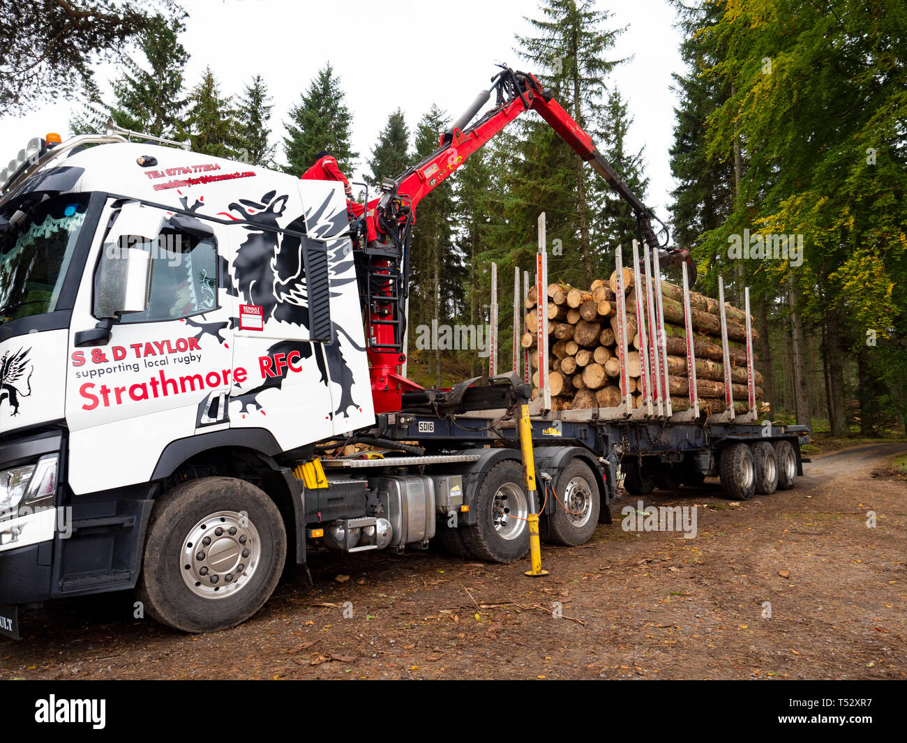 Loading Timber onto a Lorry, Scotland, UK Stock Photo