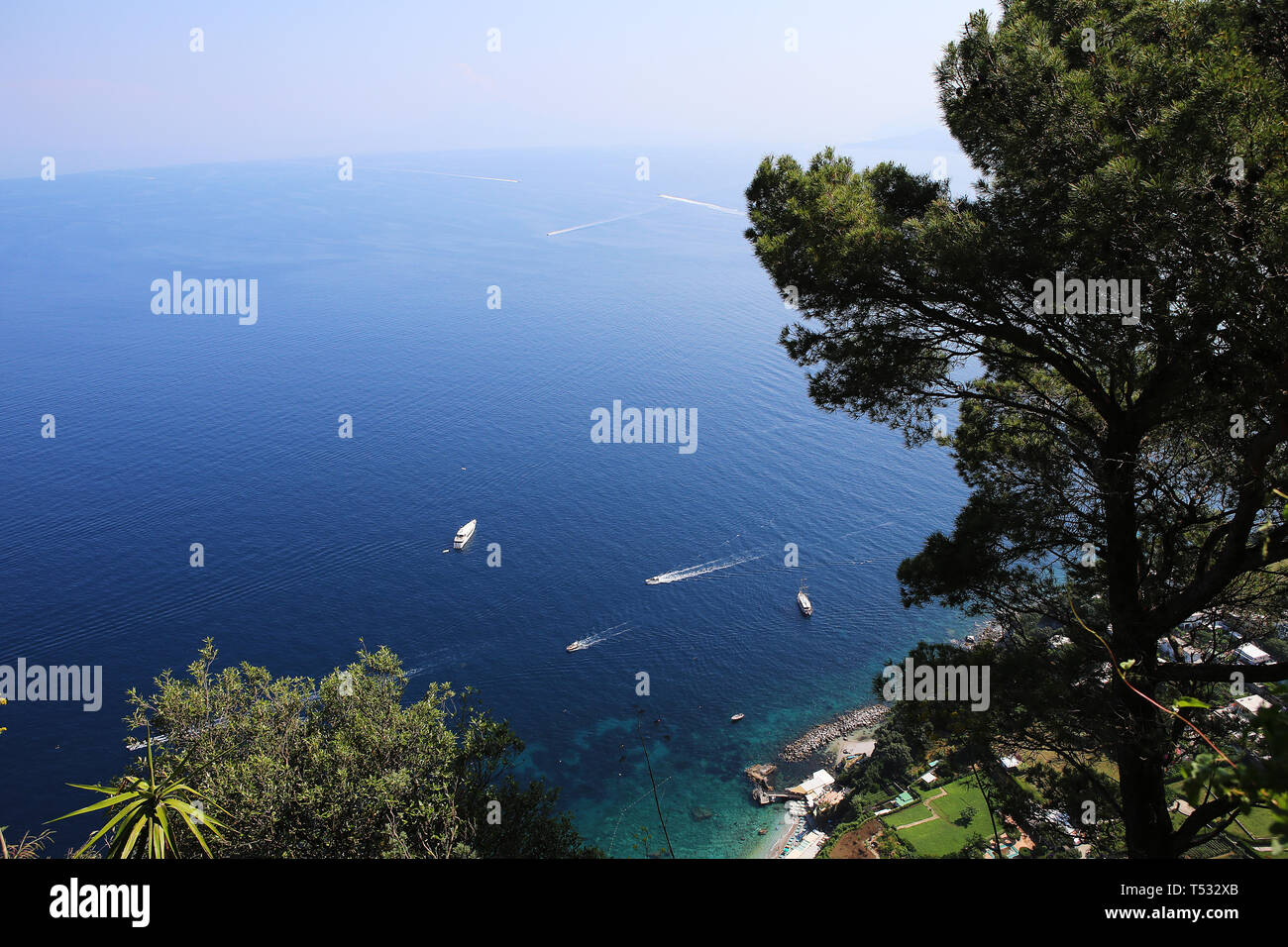 cliffs of Capri island, in summertime, Capri, Italy Stock Photo - Alamy