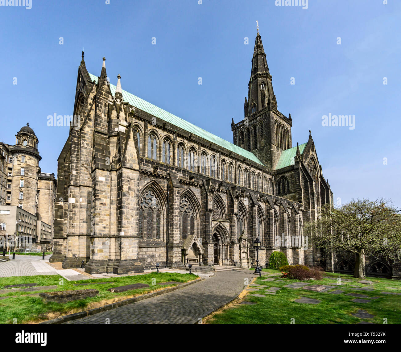 Glasgow Cathedral in Cathedral Precinct Castle Street Glasgow Scotland UK here seen from the Precinct. Stock Photo