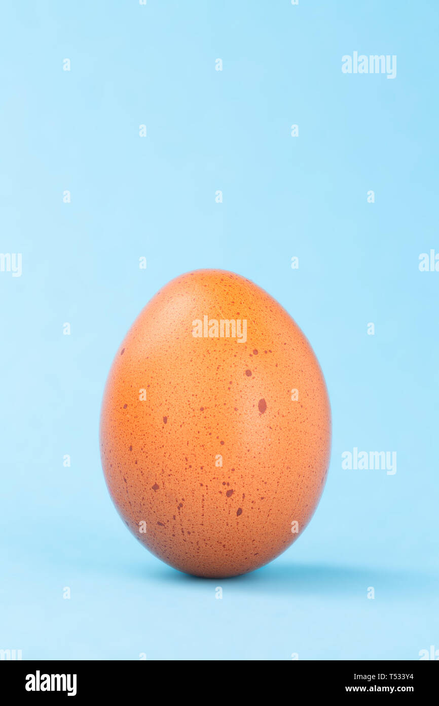 Single brown egg on complementary colored blue background, clipping-path included Stock Photo