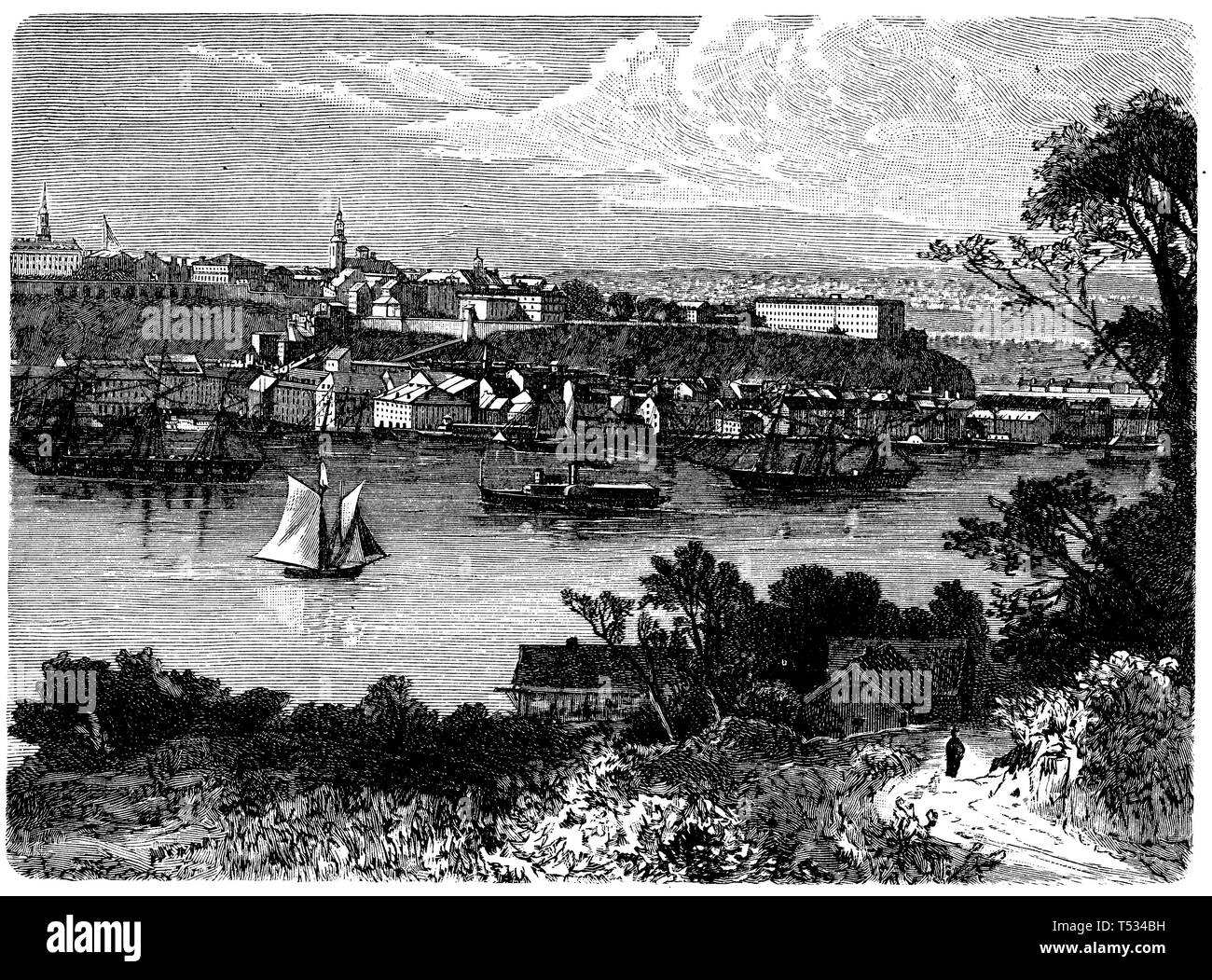 Historical Wood Engraving About 1897 Stock Photos Historical
