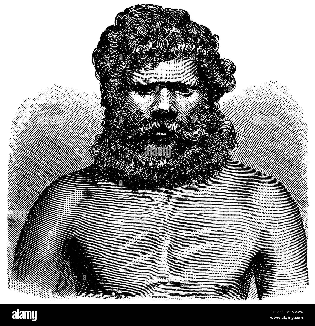 différentes coupe de barbe