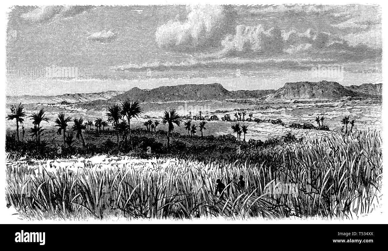 Plateau of Mato Grosso, anonym  1897 Stock Photo