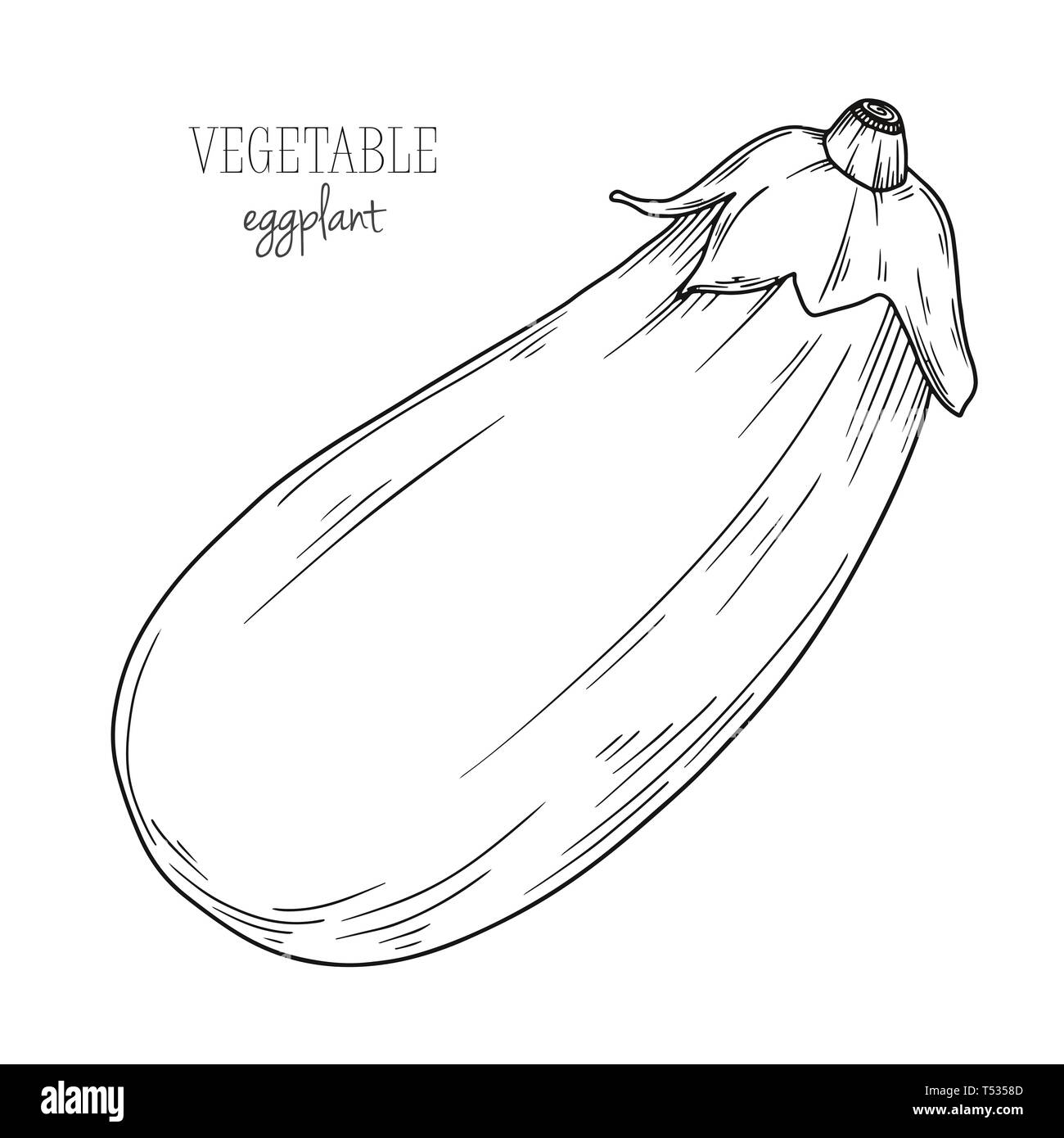 Eggplant Black and White Stock Photos & Images Alamy