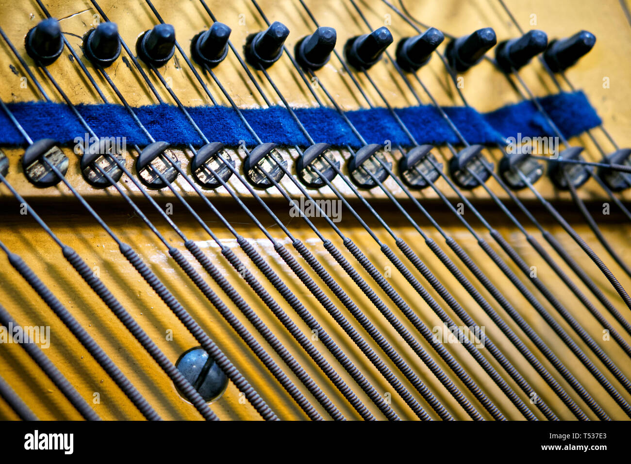 Old top bass strings