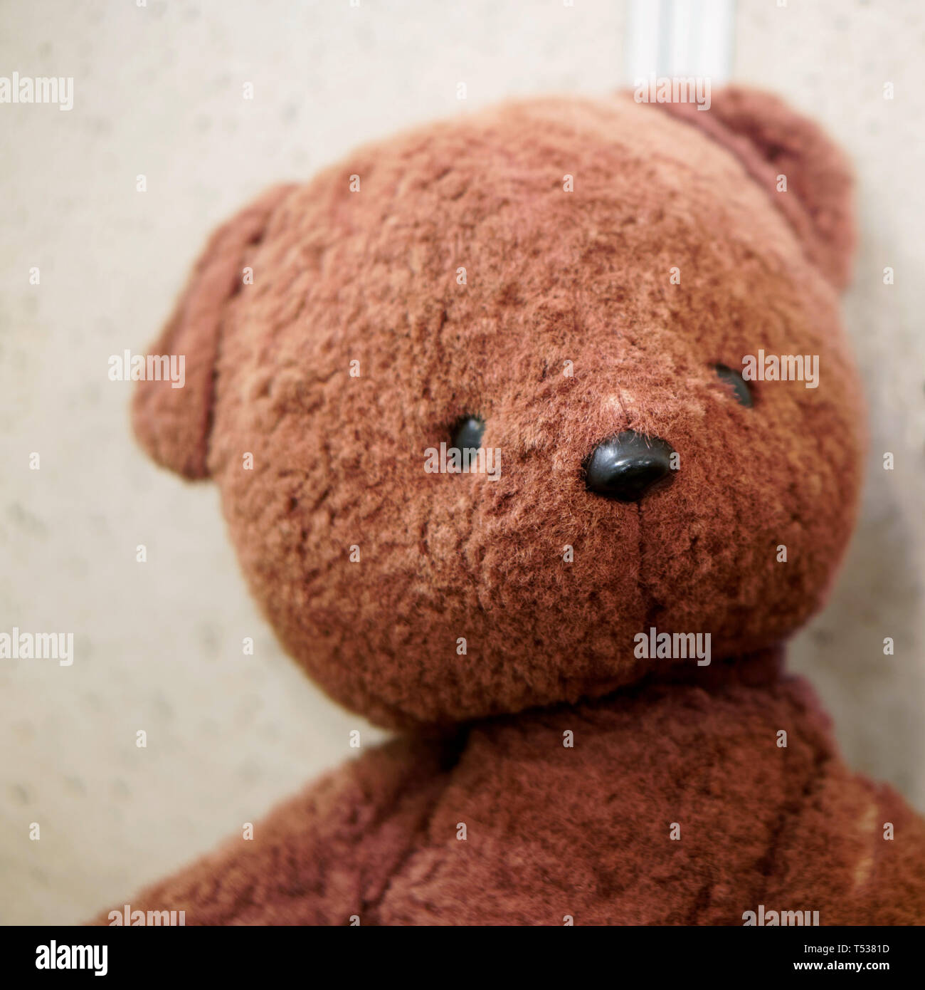 Old toy - vintage plush brown bear. Portrait. Shallow depth of field. Subject from the past. Stock Photo