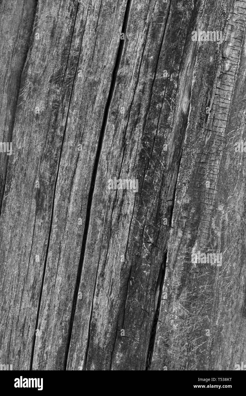 Old grey wood fence Black and White Stock Photos & Images - Alamy