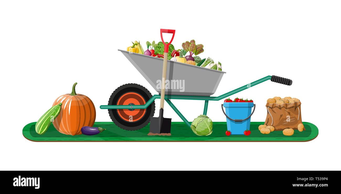 Autumn vegetables wheelbarrow Cut Out Stock Images & Pictures Alamy