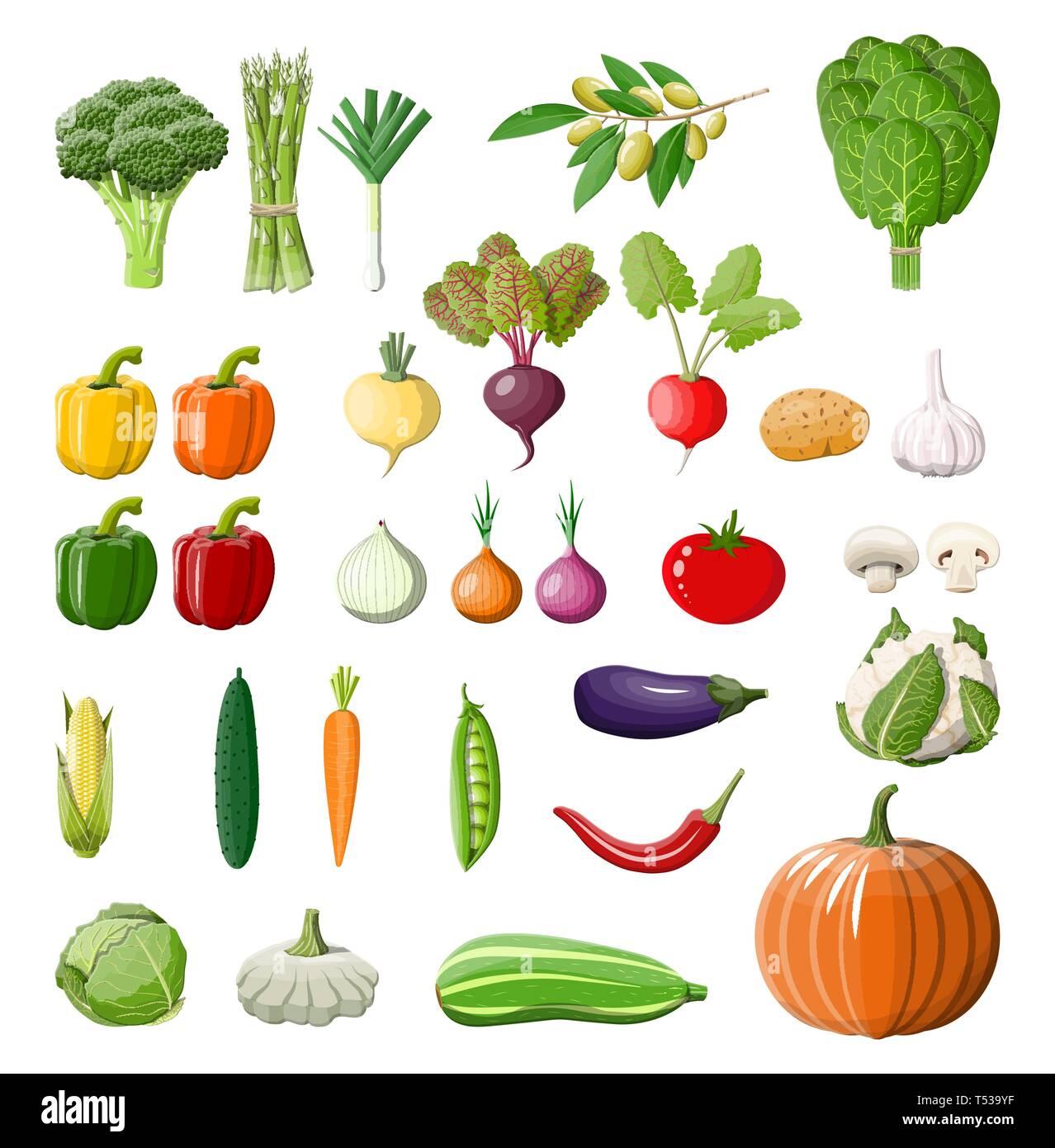 Big Vegetable Isolated Icon Set Onion Eggplant Cabbage Pepper Pumpkin Cucumber Tomato Carrot And Other Vegetables Organic Healthy Food Vegeta Stock Vector Image Art Alamy
